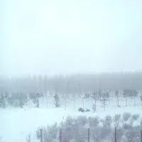 可以，不可以